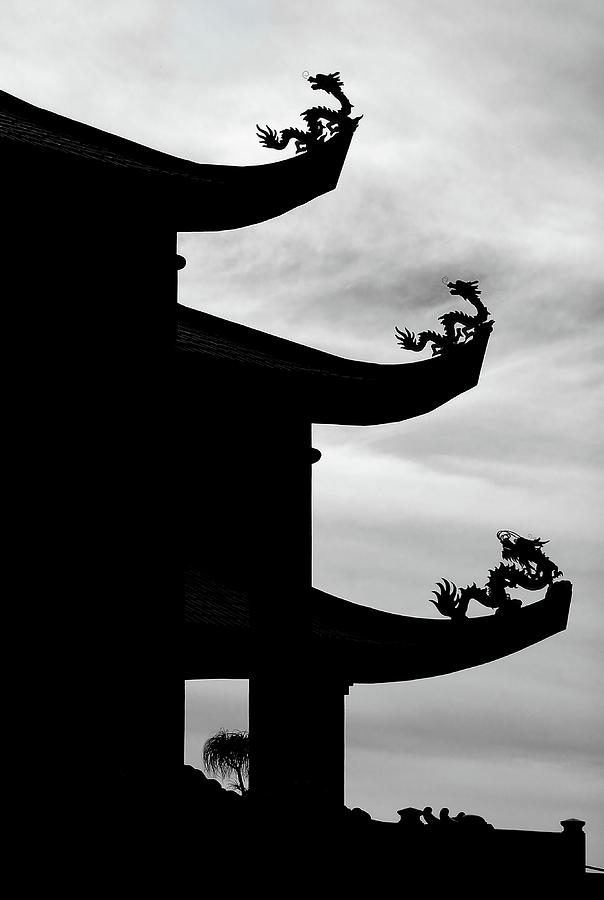Three Dragon Silhouette Photograph by Debra Sabeck