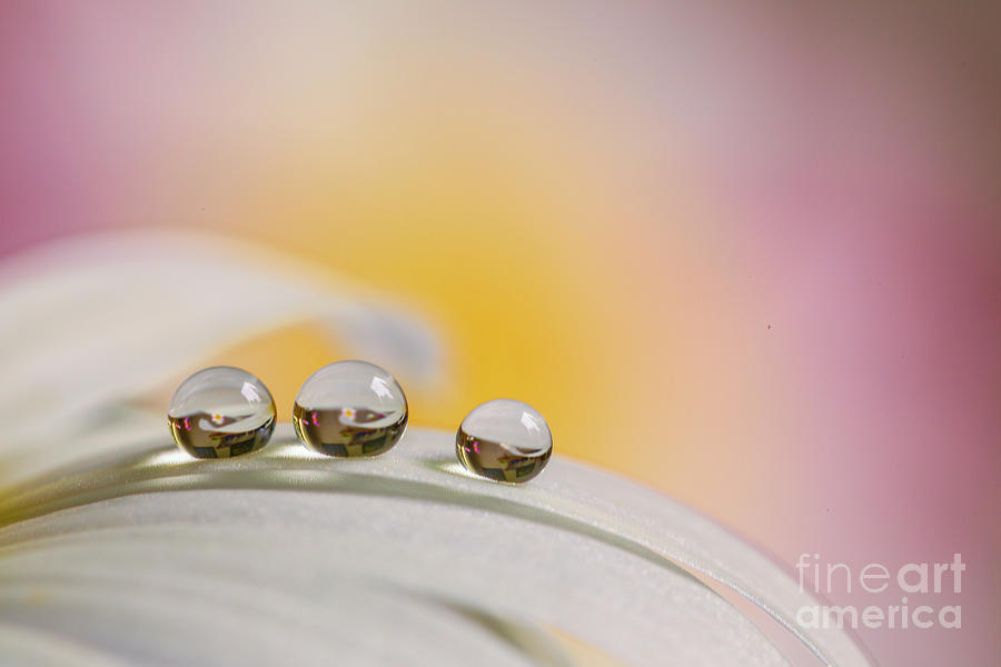 Three Drops Photograph