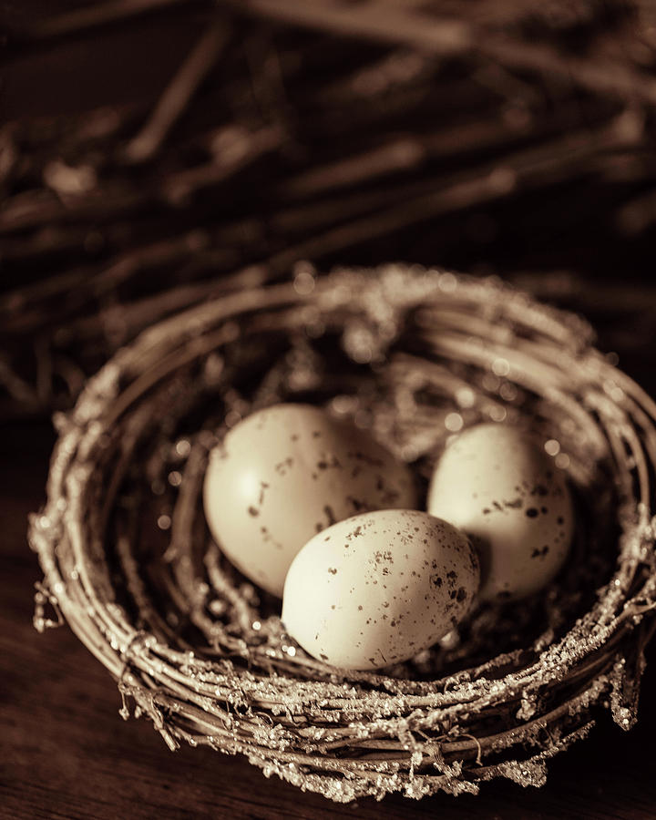 Three Eggs In A Nest Photograph