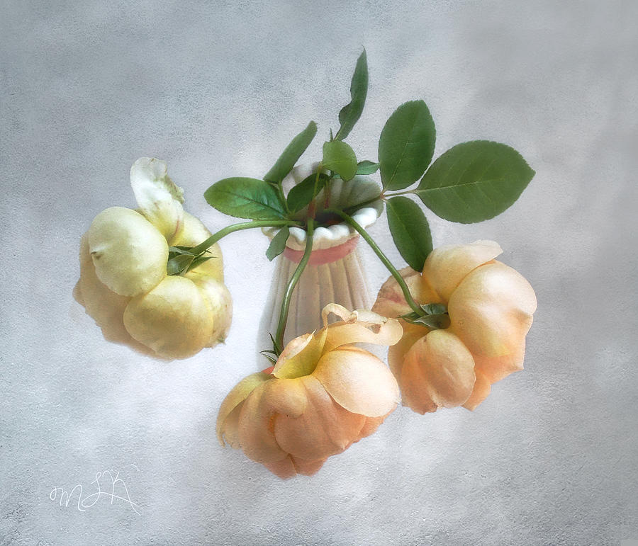 Three English Roses Photograph by Louise Kumpf