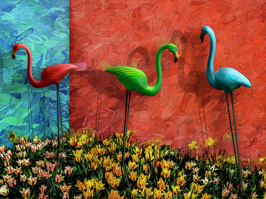 Three Flamingos Photograph by Paul Wear