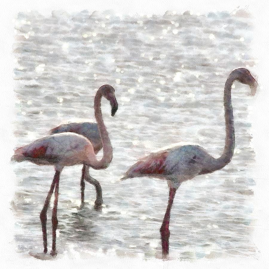 Three Flamingos Watercolor Painting by Taiche Acrylic Art