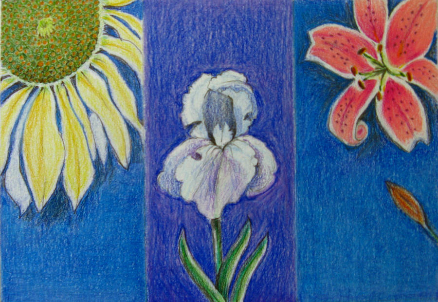 Three Flowers Drawing by Patricia Januszkiewicz