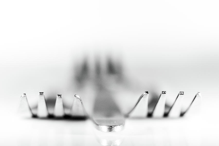 Fork Photograph - Three Forks by Gary Gillette Fork Photograph - Three Forks by Gary Gillette