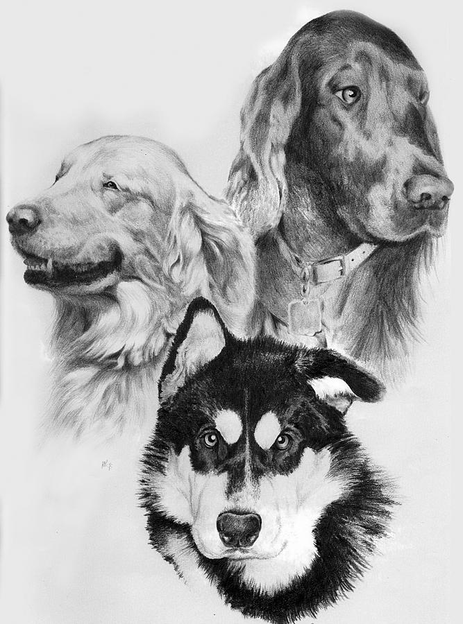 Dog Drawing - Three friends by William Russell Nowicki
