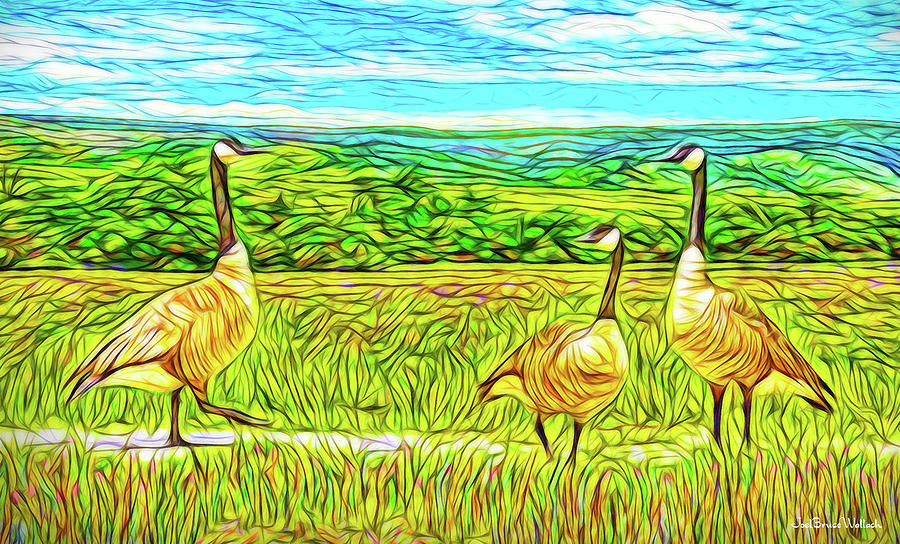 Geese Digital Art - Three Geese - Farm In Boulder County Colorado by Joel Bruce Wallach