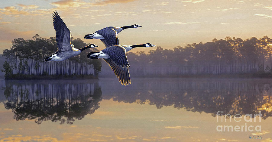 Three Geese Digital Art by Walter Colvin