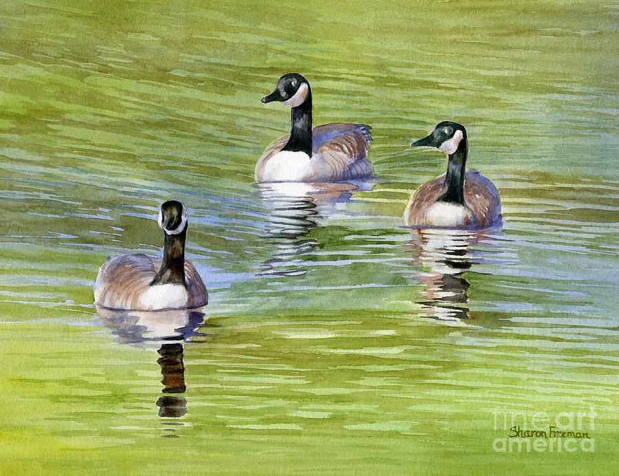 Geese Painting - Three Geese with Pond Reflections by Sharon Freeman