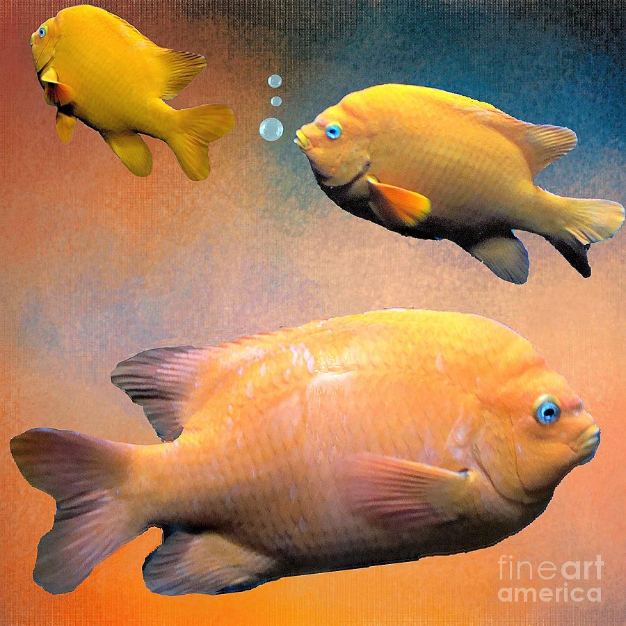 Goldfish Photograph - Three Tropical Goldfish by Janette Boyd