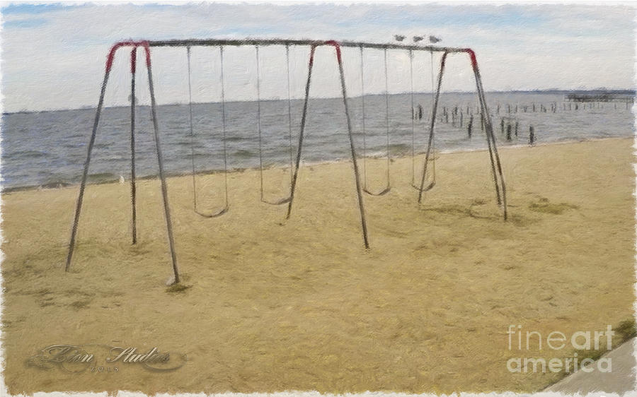 Three Gulls and a Swing Set Photograph by Melissa Messick