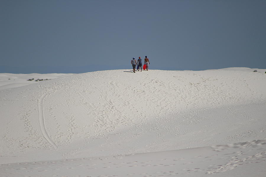 Three Guys Sledding in Sand Photograph by Colleen Cornelius