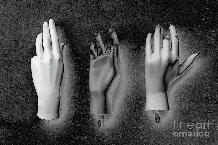 Three Hands Photograph by Clayton Bastiani