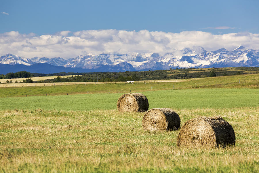 Mountain Photograph - Three Hay Bales In A Field by Michael Interisano