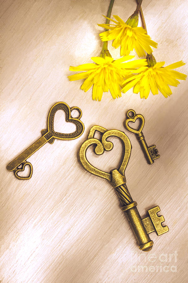 Three heart shaped keys with flowers on wooden table Photograph by Jorgo Photography