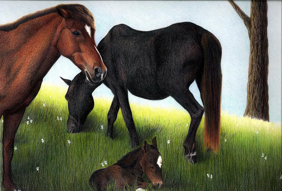 Three Horses Drawing by Danielle R T Haney