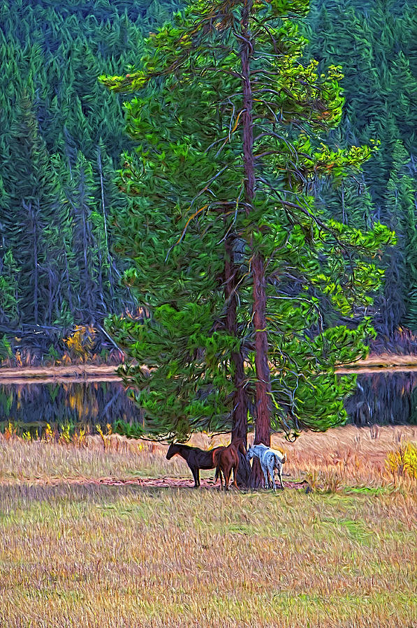 Three Horses Under a Pine Tree digital oil painting Photograph by Sharon Talson