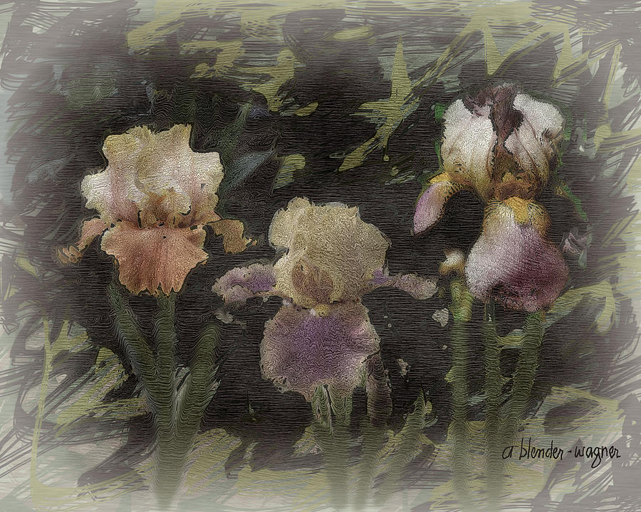 Three Iris Digital Art by Arline Wagner