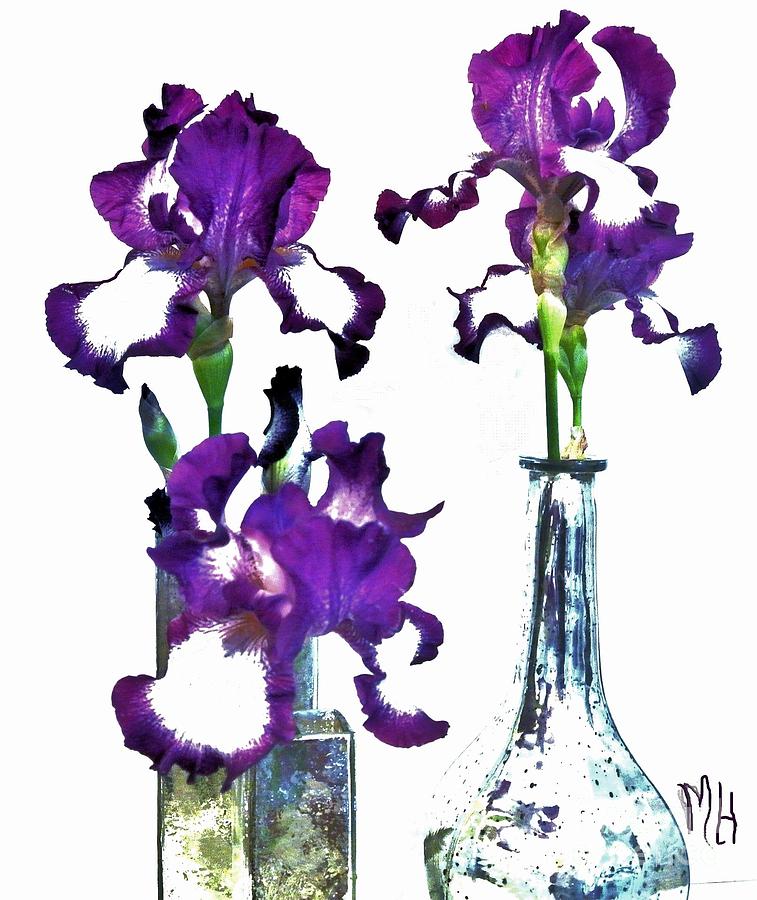 Three Irises In Vases Photograph by Marsha Heiken