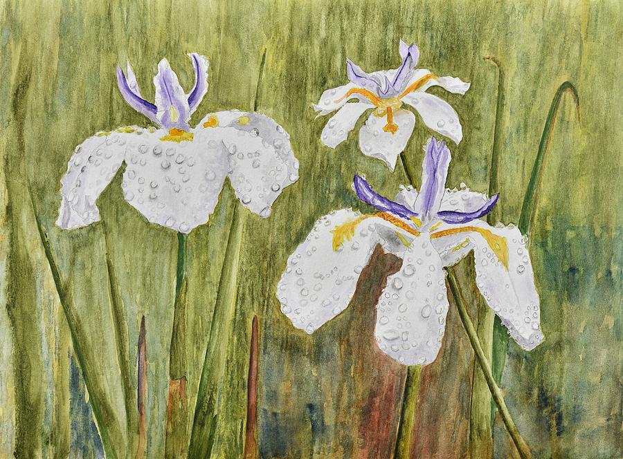 Three Irises in the Rain Painting by Linda Brody