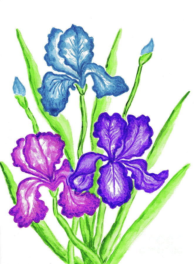 Three Irises Painting by Irina Afonskaya