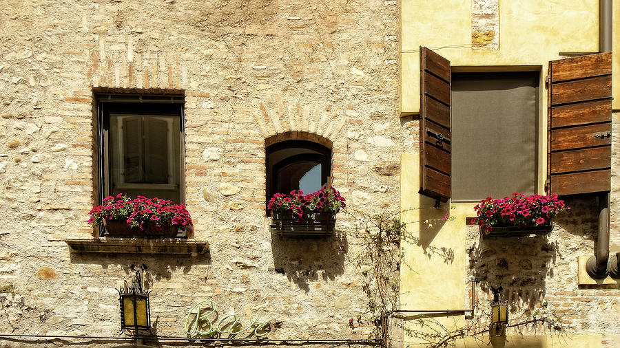 Three Italian Windows Photograph by Catherine Reading