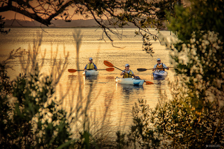 Three Kayaks Coming Home Digital Art by Phil Mancuso