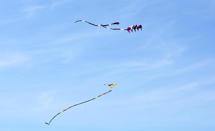 Three Kites Photograph
