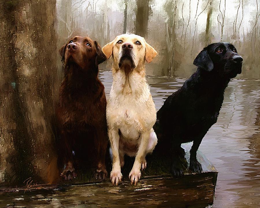 Dog Painting - Three Labs by Robert Smith