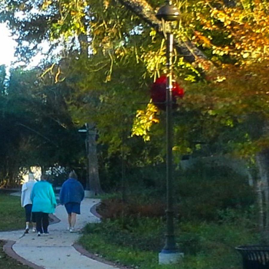 Christmas Photograph - Three Ladys Walking In Grove by Cheray Dillon