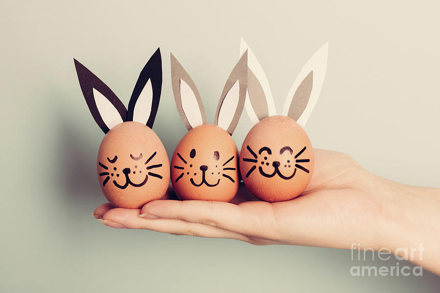 Three little Easter bunnies made from an egg Photograph by Michal Bednarek