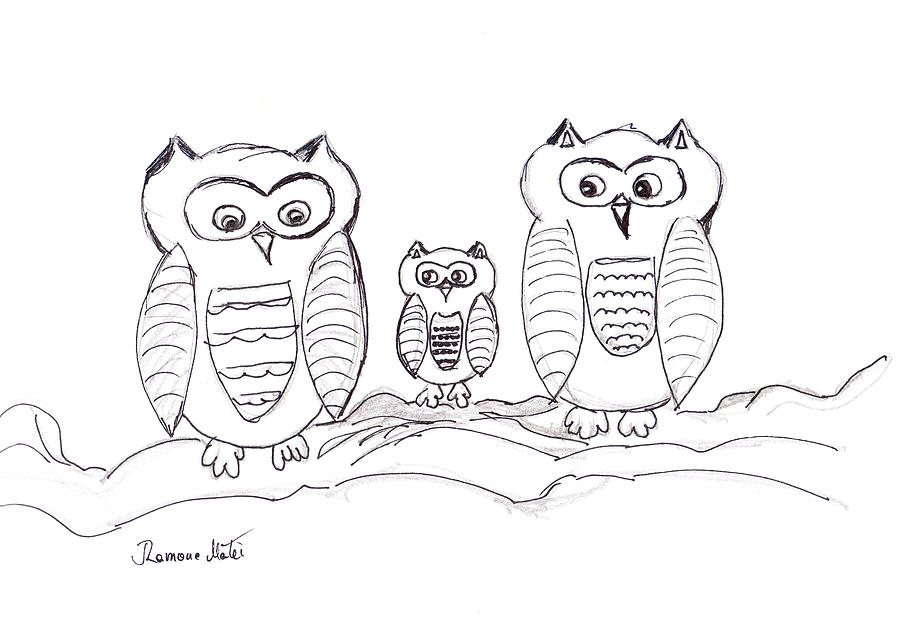 Three Little Owls Drawing by Ramona Matei