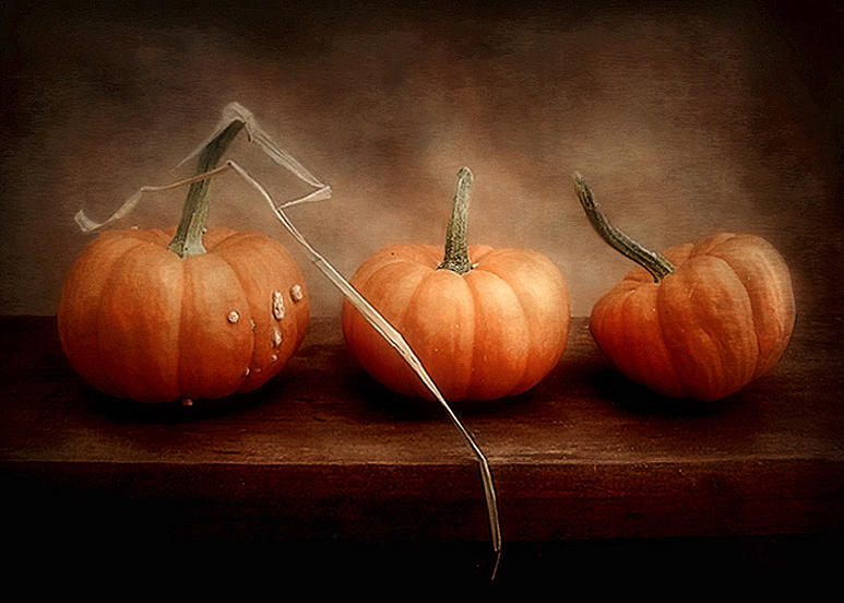 Three Little Pumpkins Photograph by Louise Kumpf