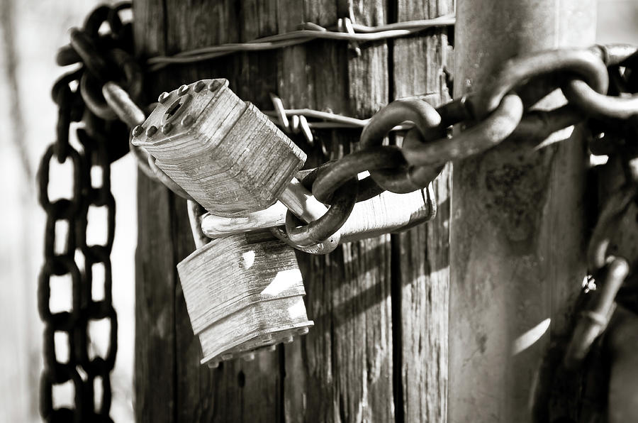 Three Lock Gate Photograph by Adam Reinhart