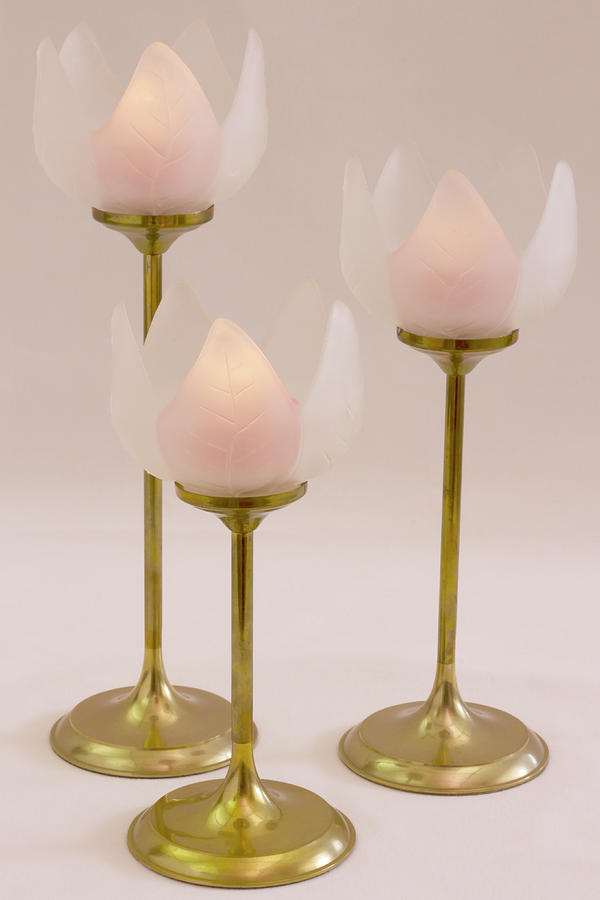 Three Lotus Candle Holders Photograph by Sandra Foster