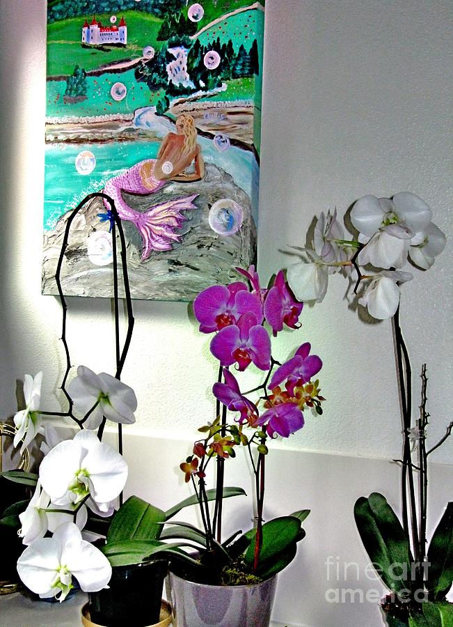 Three Lovely Orchids and a Mermaid Photograph by Phyllis Kaltenbach