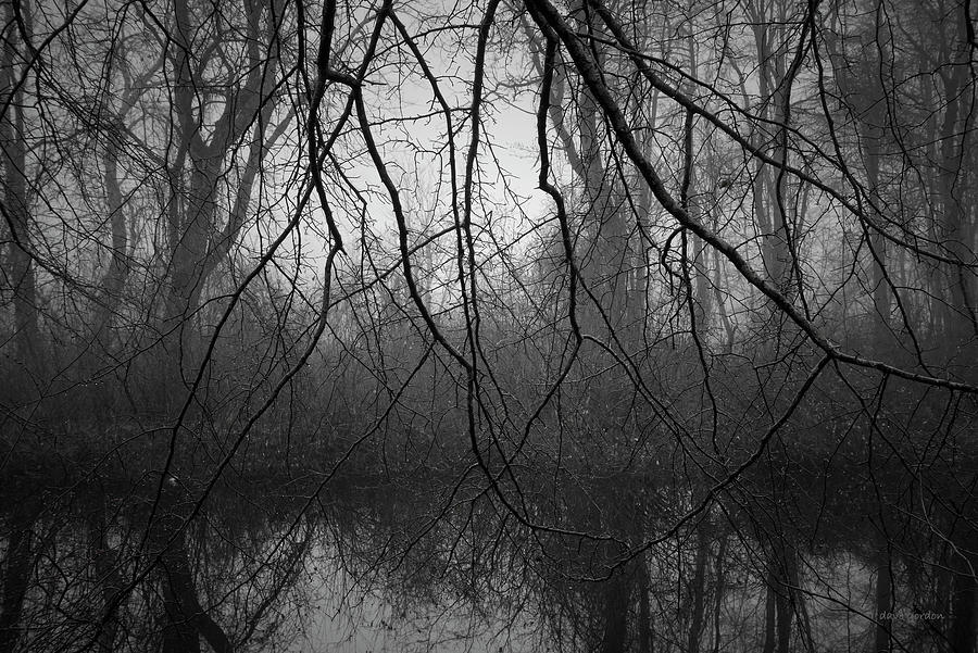 Three Mile River III BW Photograph by David Gordon