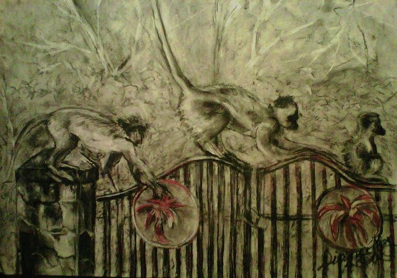 Monkey Drawing - Three Monkeys by Diana Kaye Obe