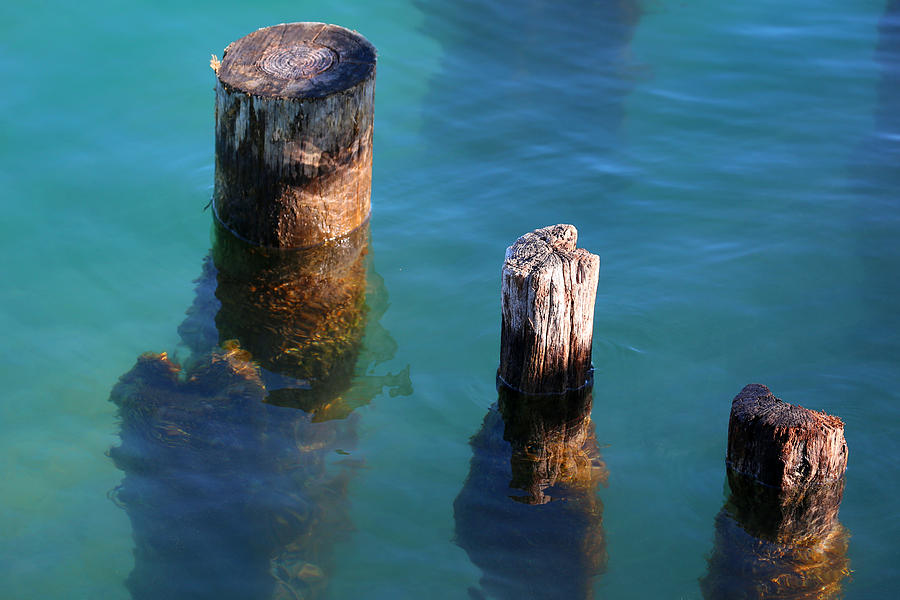 Three Old Pilings in Sun Photograph by Mary Bedy