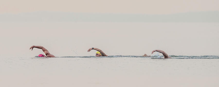 Three Open Water Swimmers Photograph by Morris Finkelstein
