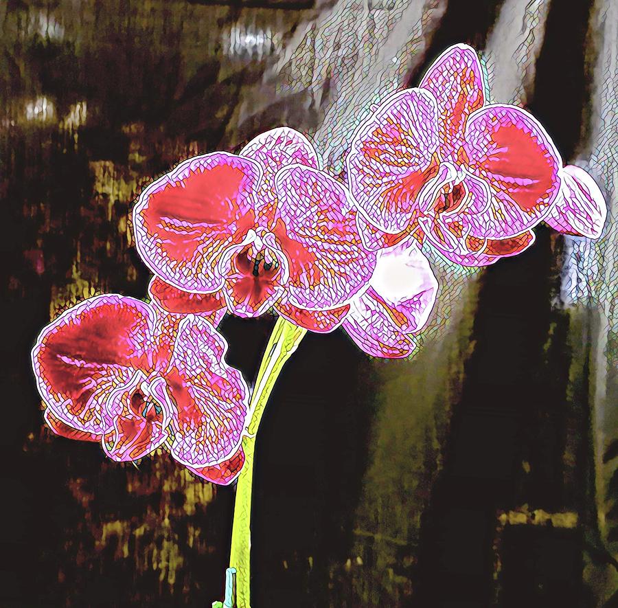 Three Orchids Mosaic Aloha  Photograph by Joalene Young