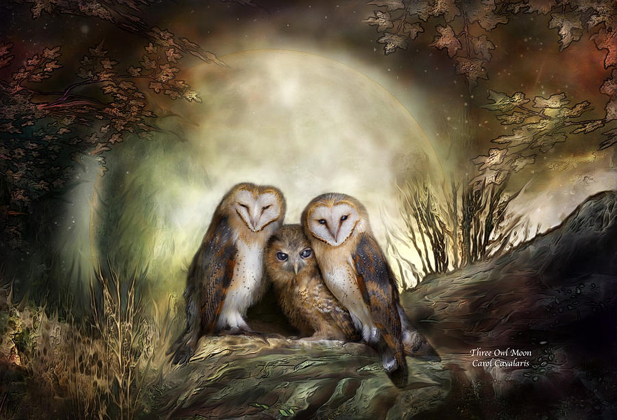 Three Owl Moon Mixed Media by Carol Cavalaris
