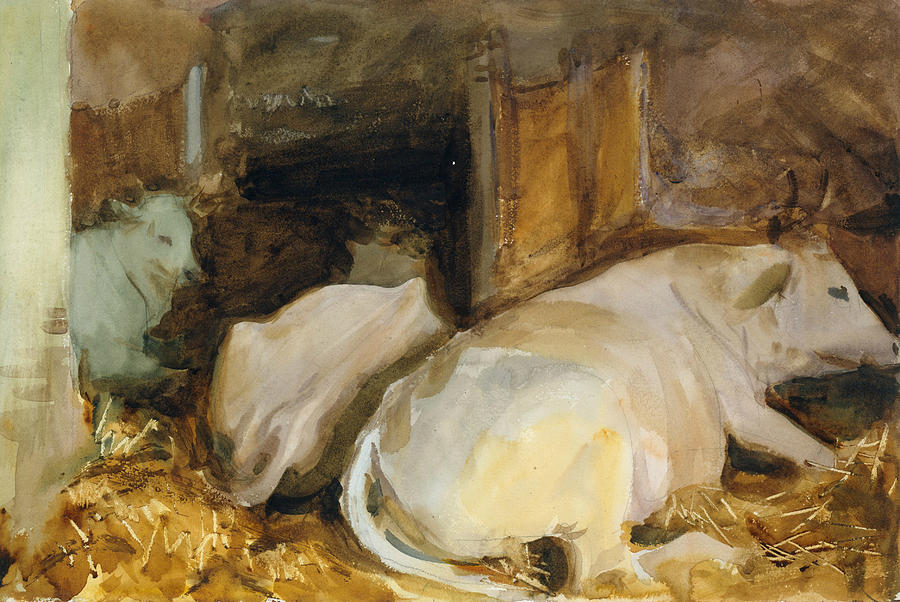Three Oxen Drawing by John Singer Sargent