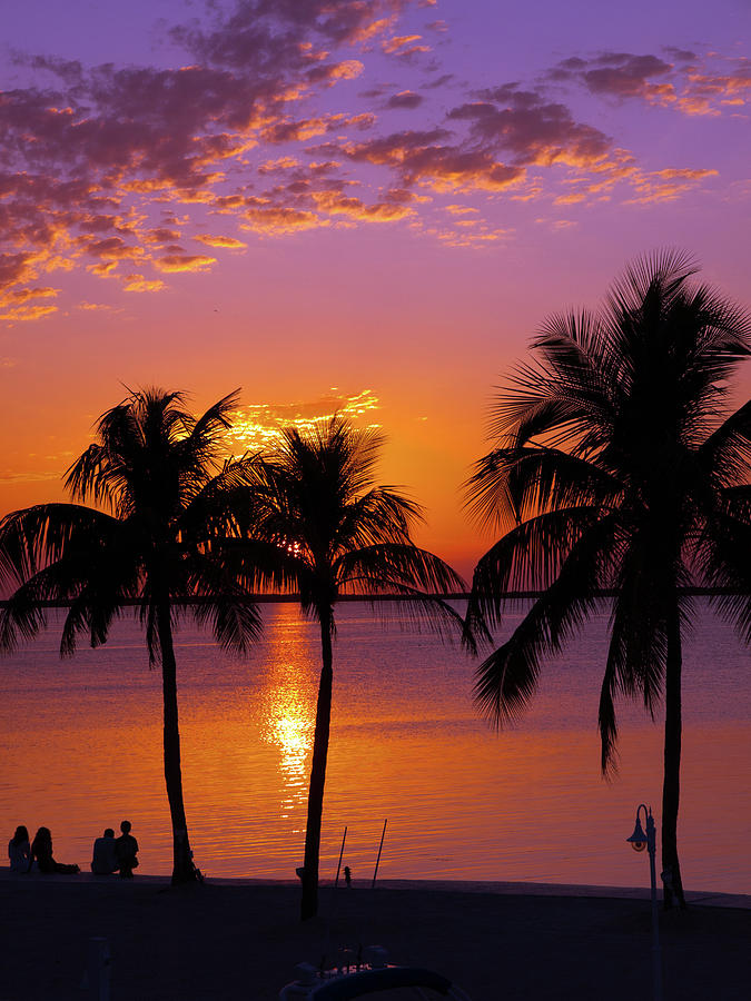 Three Palm Trees at Sunset Photograph by Lucio Cicuto - Fine Art America