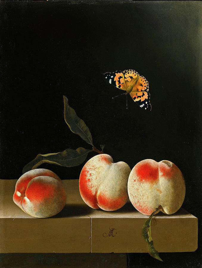 Three peaches on a stone ledge with a Red Admiral Butterfly Painting by Adriaen Coorte