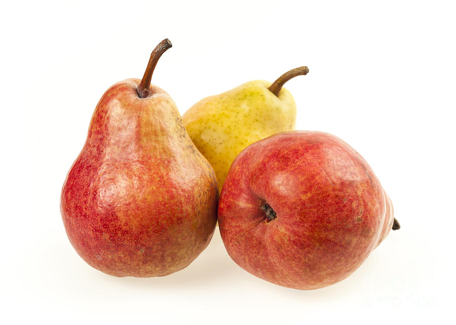 Three Pears Photograph