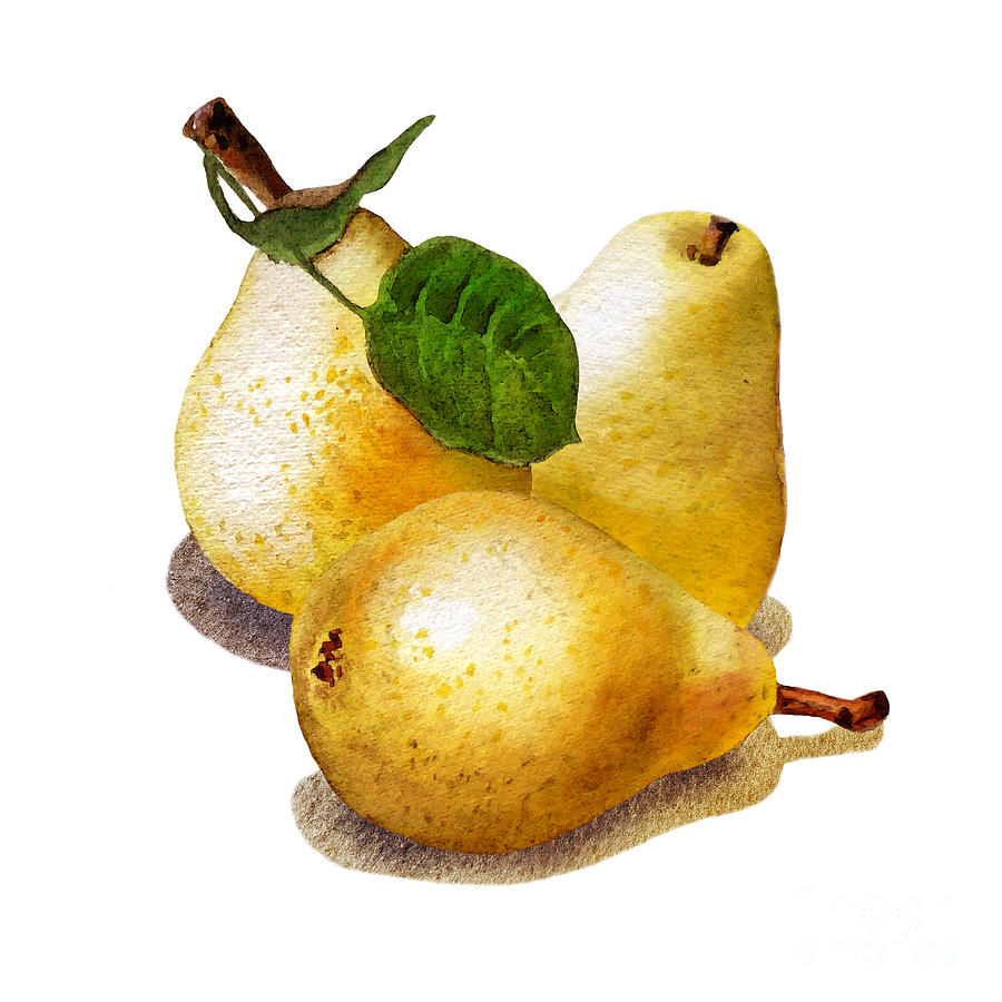 Three Pears Painting
