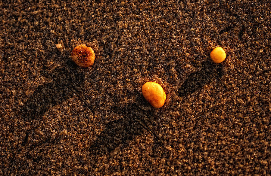 Three Pebbles  Photograph by Bob Coates