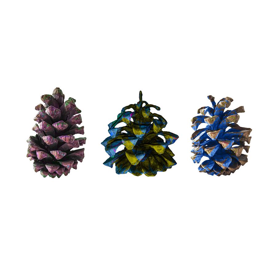 Three Pine Cones Photograph by Stan  Magnan