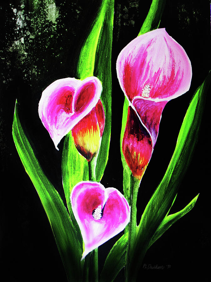 Three Pink Calla Lilies. Painting by Pat Davidson