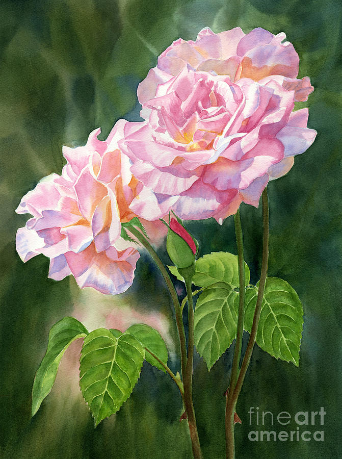 Three Pink Roses With Dark Background Painting by Sharon Freeman